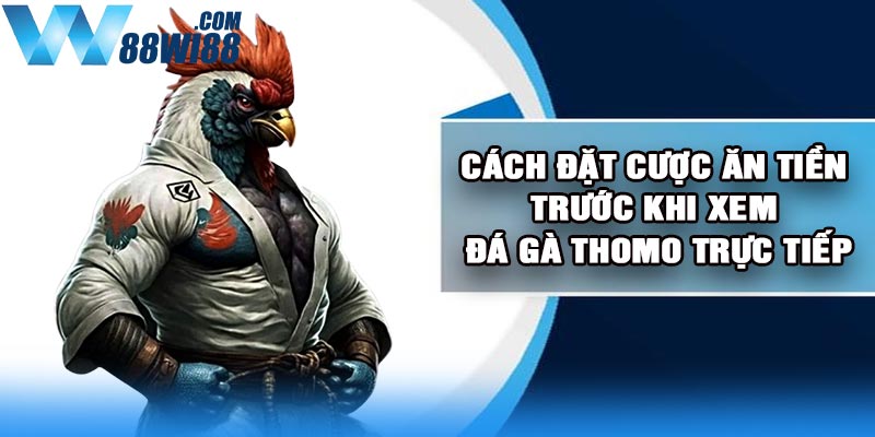 Cách đặt cược ăn tiền trước khi xem đá gà Thomo trực tiếp