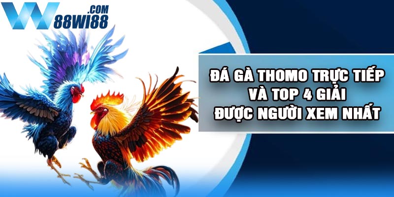 Đá Gà Thomo Trực Tiếp Và Top 4 Giải Được Người Xem Nhất